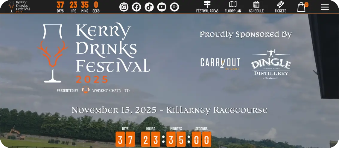 festival web design