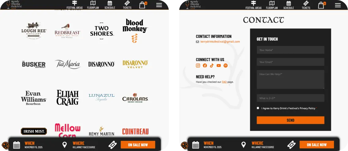 drinks festival web design